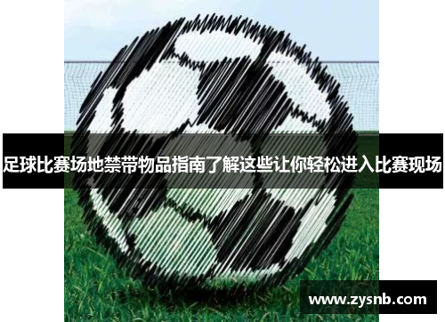 足球比赛场地禁带物品指南了解这些让你轻松进入比赛现场
